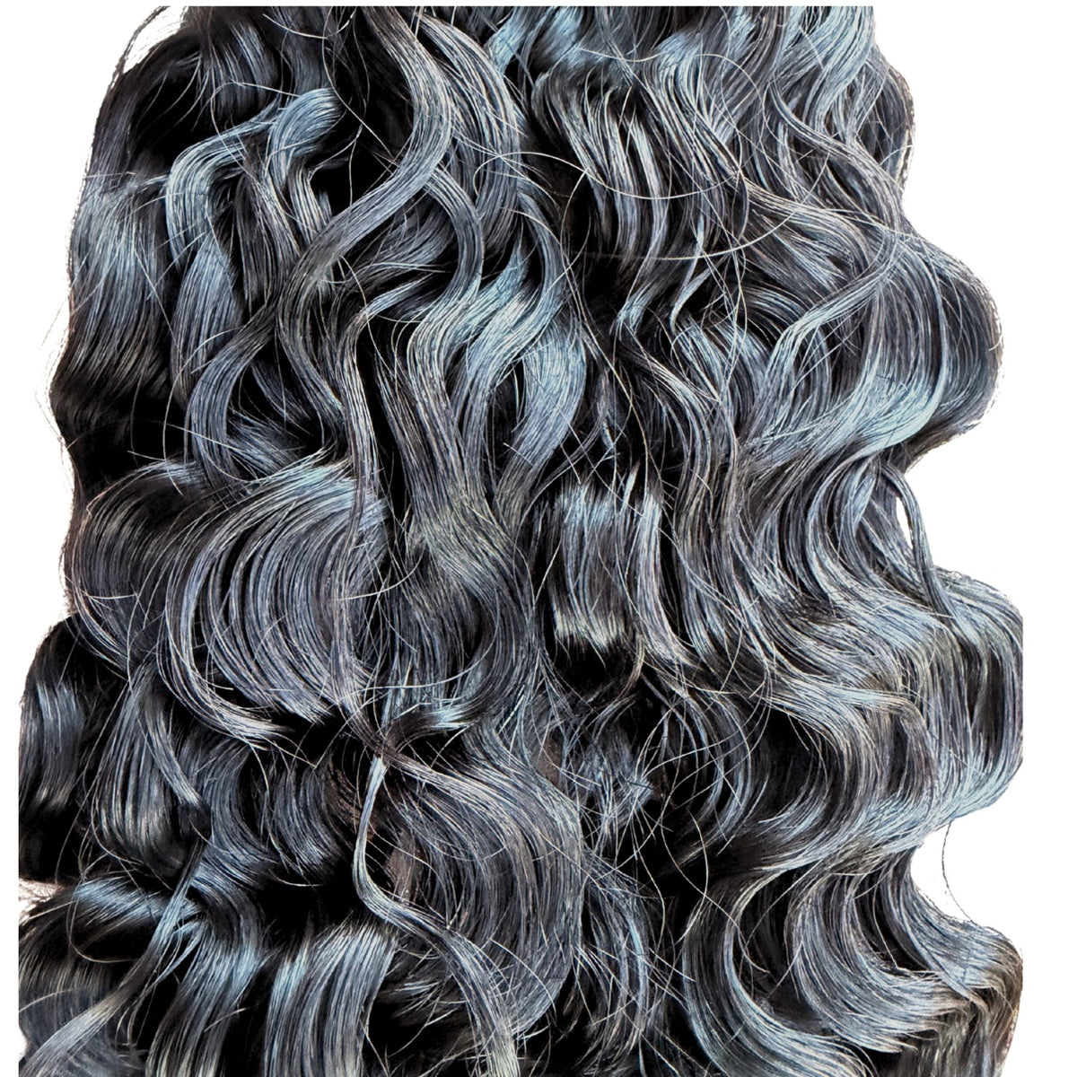 Burmese curly curl detail